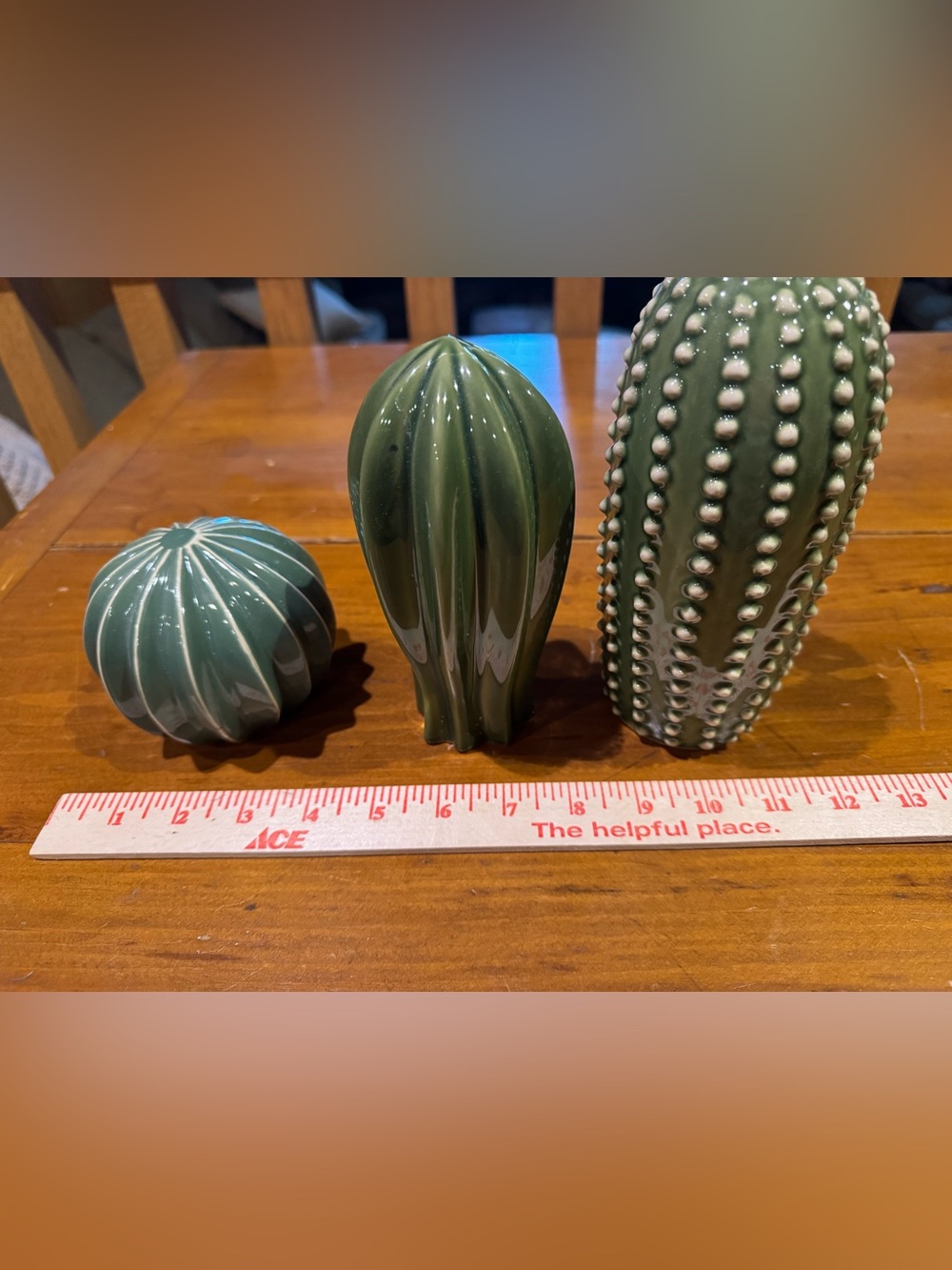 CACTI TRIO - Picture 4 of 7